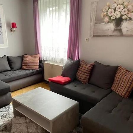 Spacious 2 Bedroom Apartment Zell-Am-See Town Center Zell am See Kültér fotó
